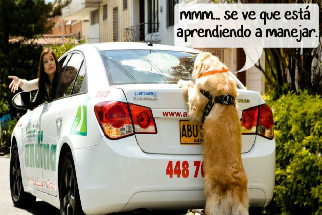 aprendiendo-a-manejar-04-