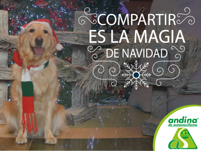 Navidad_con_Andina