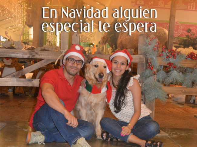 navidad_andina
