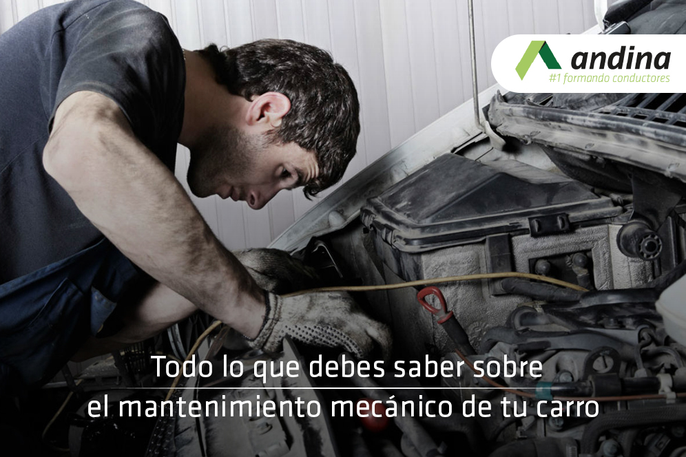 mantenimiento_andina