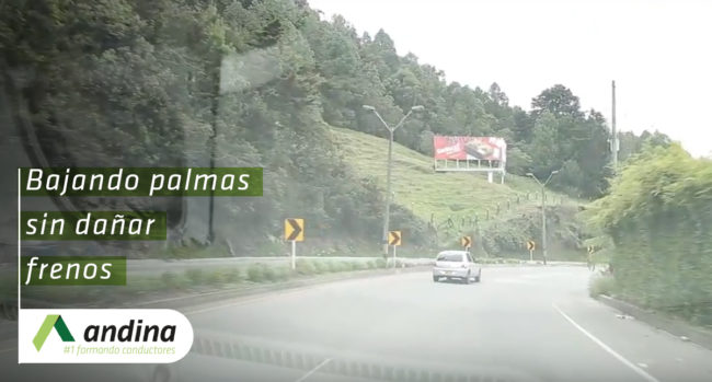 Bajar_Palmas_frenos