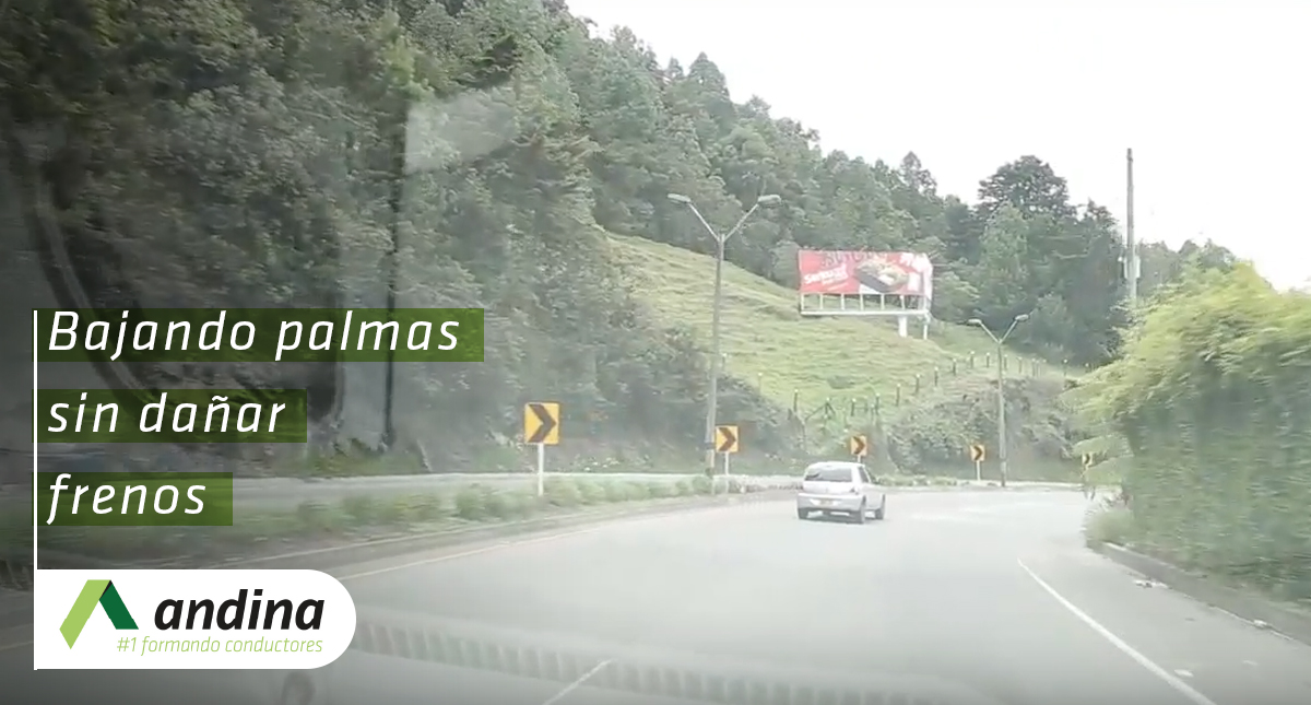 Bajar_Palmas_frenos