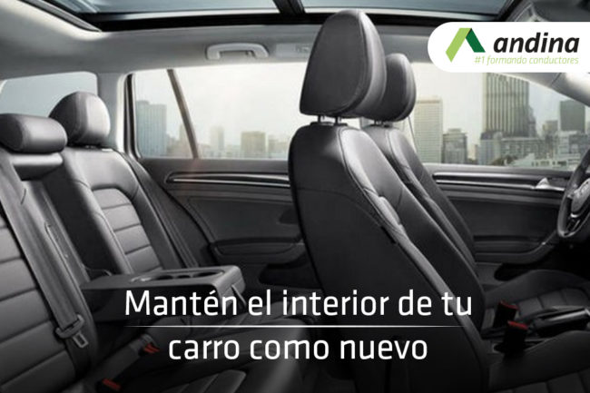 Carro_interior