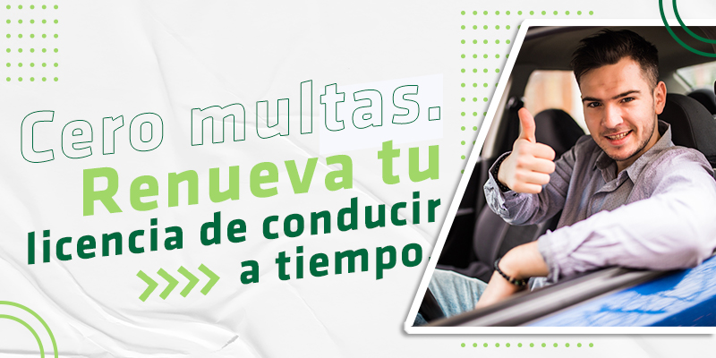 Renovar licencia de conducción
