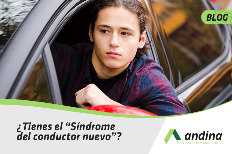 ¿Tienes el “Síndrome del conductor nuevo”? ¿Tienes el “Síndrome del conductor nuevo”?
