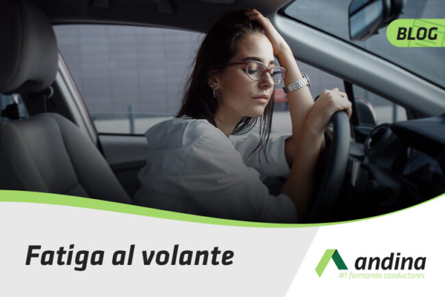 Fatiga al volante