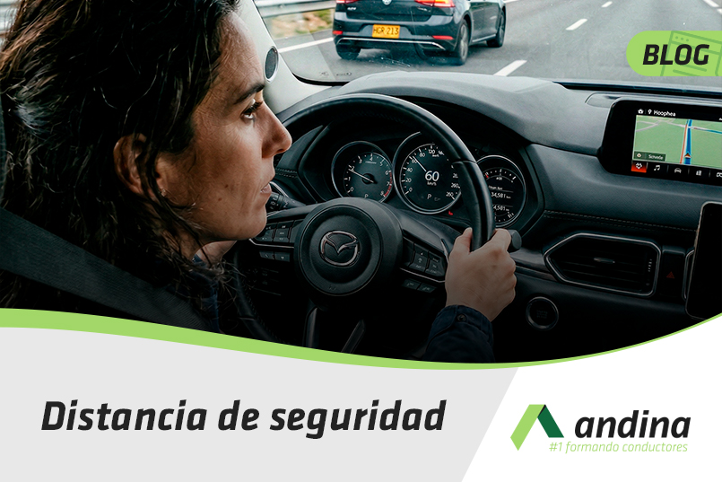 Distancia de Seguridad