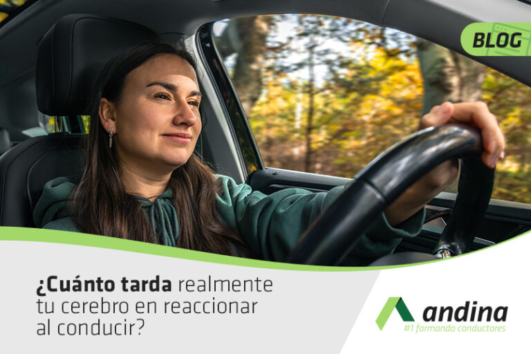 tiempo de reacción al conducir